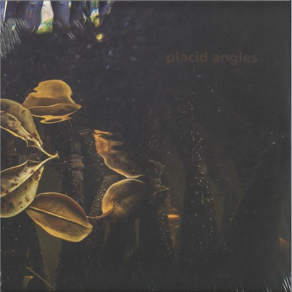 Placid Angles - Touch The Earth