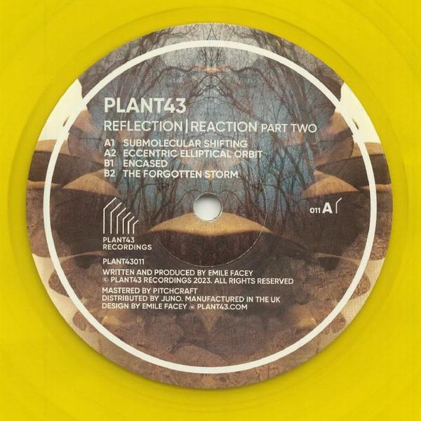 Plant43 - Reflection/Reaction Part Two