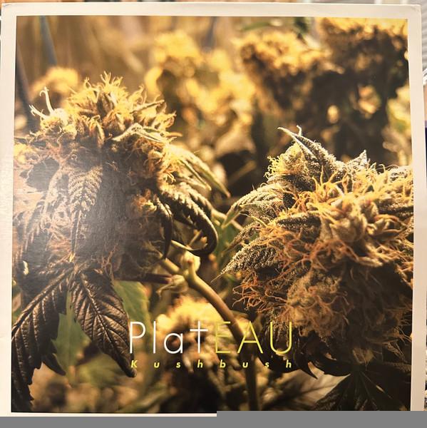 Plateau - Kushbush