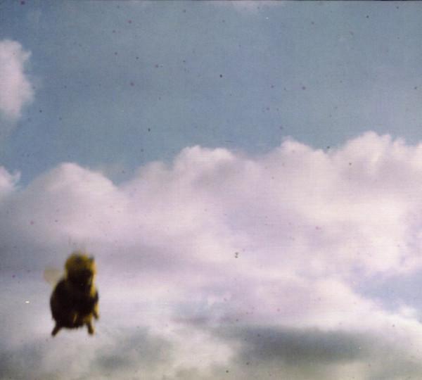 Pond (5) - Stung!