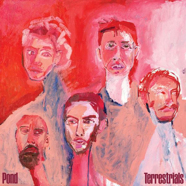 Pond (5) - Terrestrials