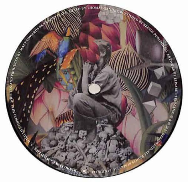 Radio Slave - Wild Life