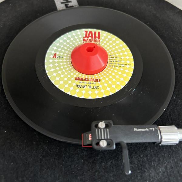 Robert Dallas, Jah Warrior - Immeasurable 