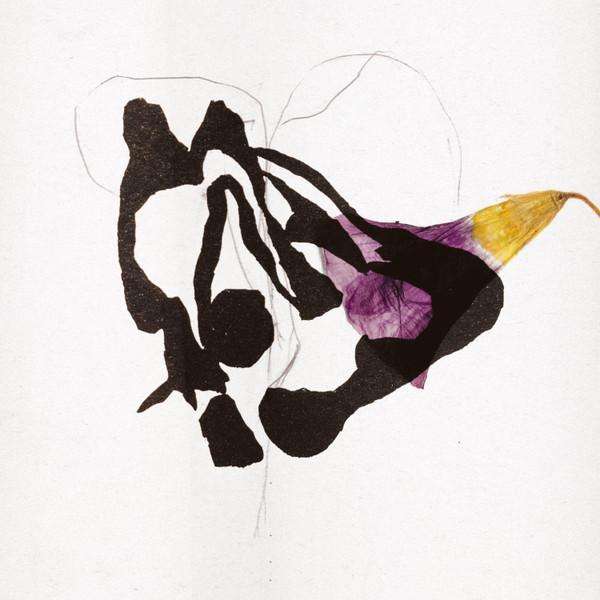 Roxane Métayer - Vies Sylvestres