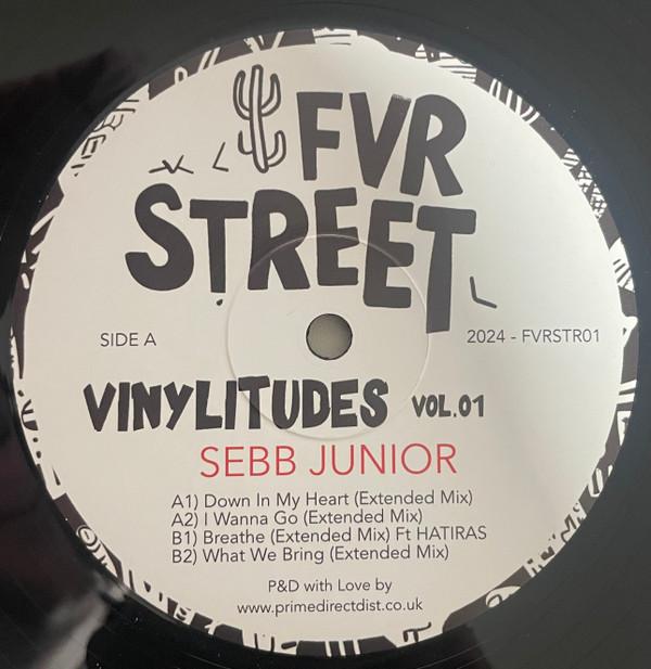 Sebb Junior - Vinylitudes Vol.01