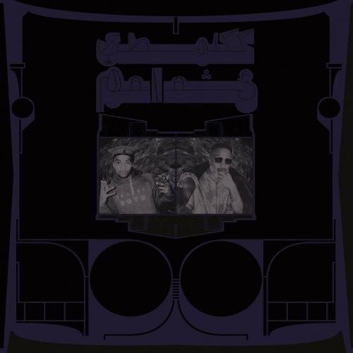 Shabazz Palaces - The Floss Vibes Of Shabazz Vol. 2: Exotic Birds Of Prey