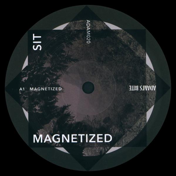 Sideways Invisibility Theory - Magnetized
