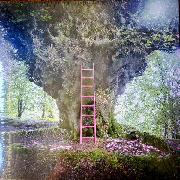  - Simon Chesterfield