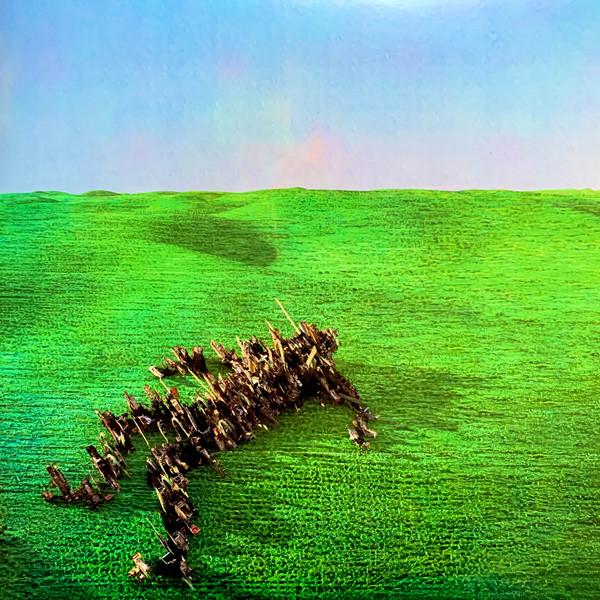 Squid  - Bright Green Field