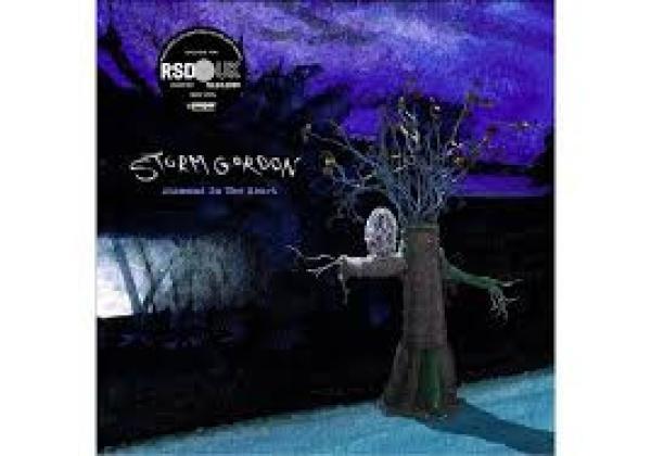 Storm Gordon - Diamond In The Heart