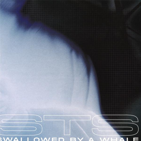  - Swallowed By A Whale