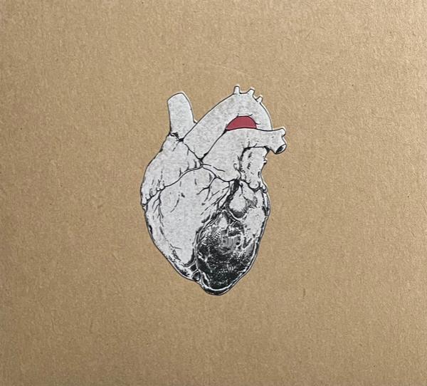 Swans - The Beggar