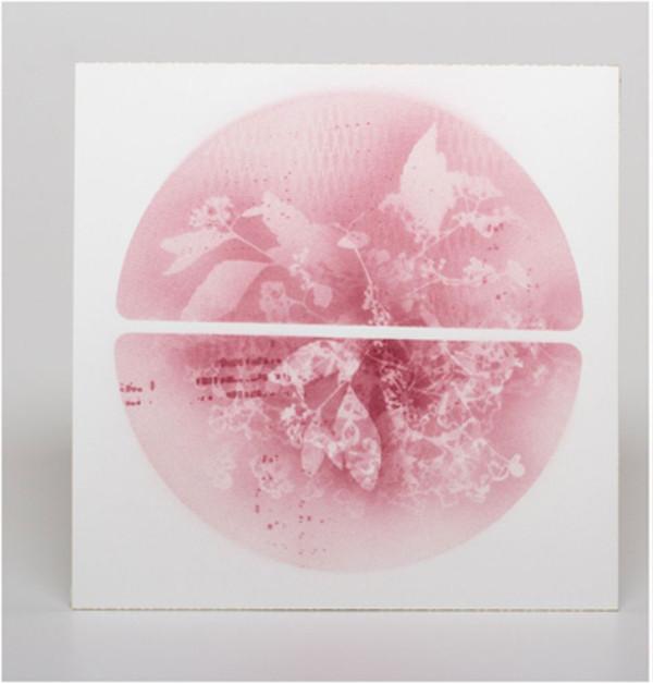 Takeshi Nishimoto, Roger Döring - Thesis 03