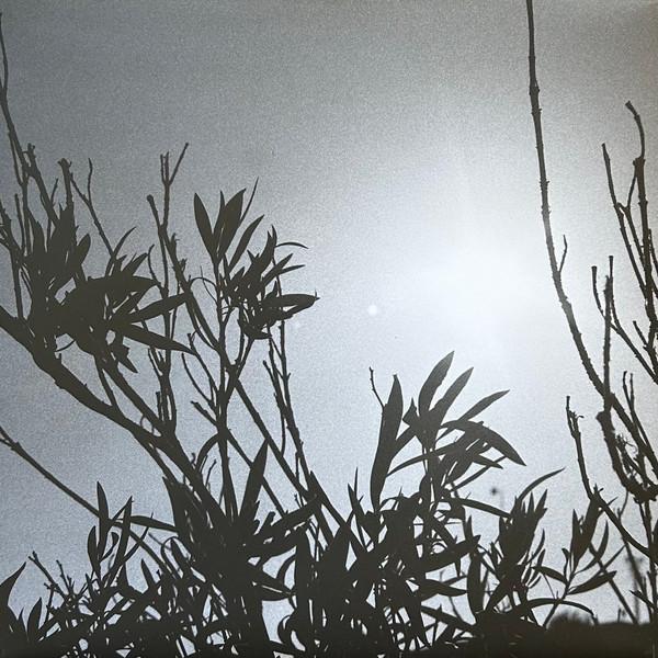 Tan Cologne, Earl Vallie - Sound Mirage From A Desert Community Dispatch
