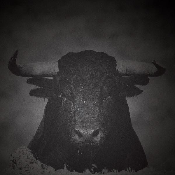 Tensal - Unequal Struggle EP
