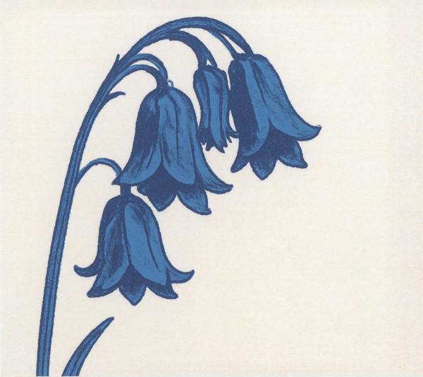 The Bluebells - This is...