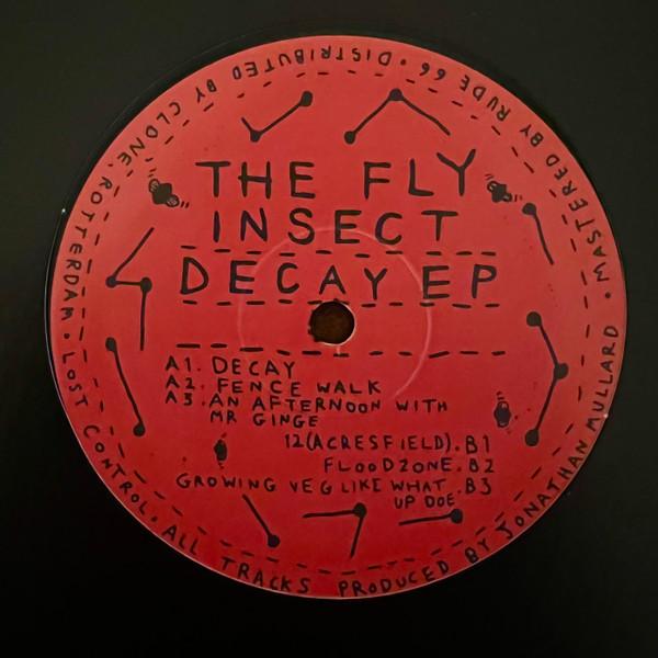 The Fly Insect - Decay EP