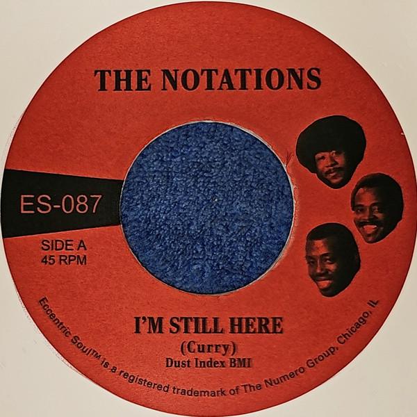 The Notations - I'm Still Here