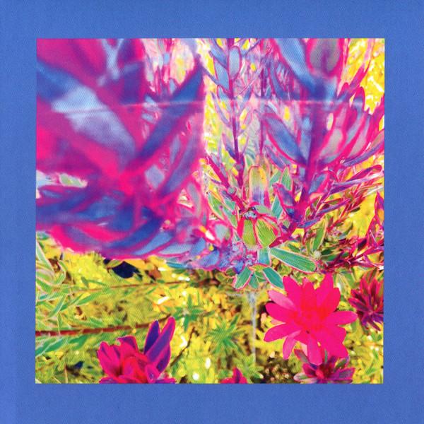The Reds, Pinks And Purples - The Past Is A Garden I Never Fed
