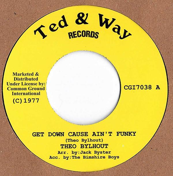 Theo Bijlhout - Get Down Cause Ain't Funky / It's Gonna Be Different Now