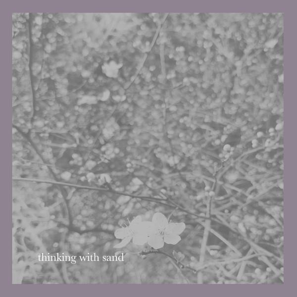 Thinking With Sand - Dreams And Half Truths