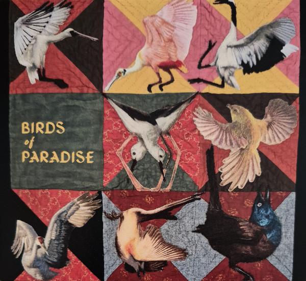 Thomas Dollbaum - Birds Of Paradise