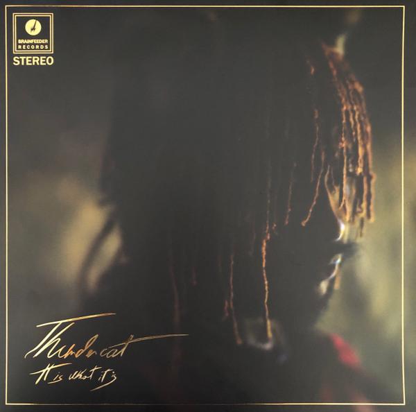 Thundercat - It Is What It Is