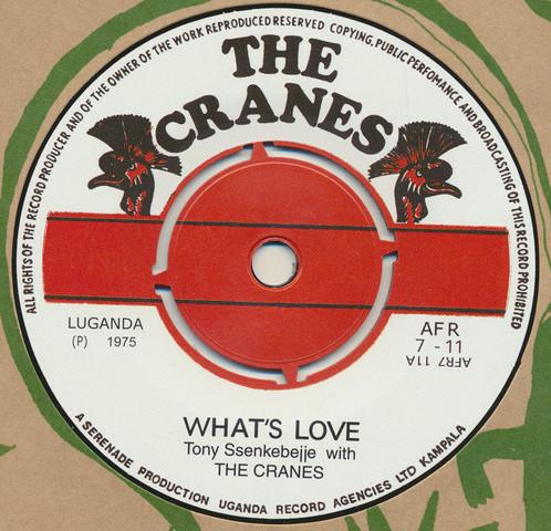 Tony Ssenkebejje, The Cranes - What's Love
