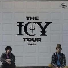 Twenty One Pilots - The Icy Tour - Live At Southside Music Festival
