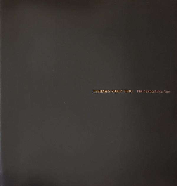 Tyshawn Sorey Trio - The Susceptible Now