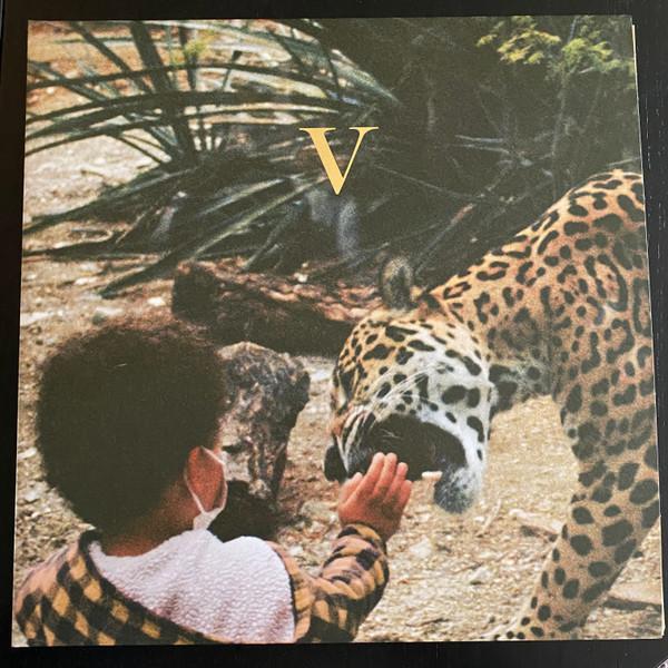 Unknown Mortal Orchestra - V
