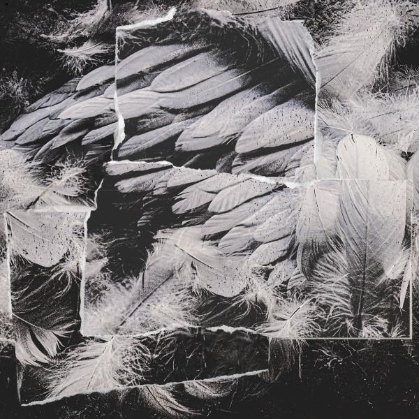 Violet Poison - ALBATROS