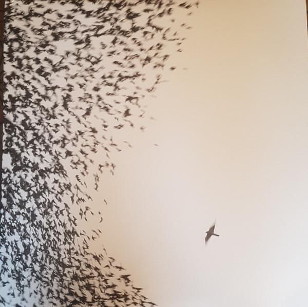 Wilco - Sky Blue Sky