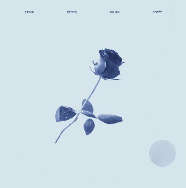 Y Bülbül, Yumurta - Not One, Not Two
