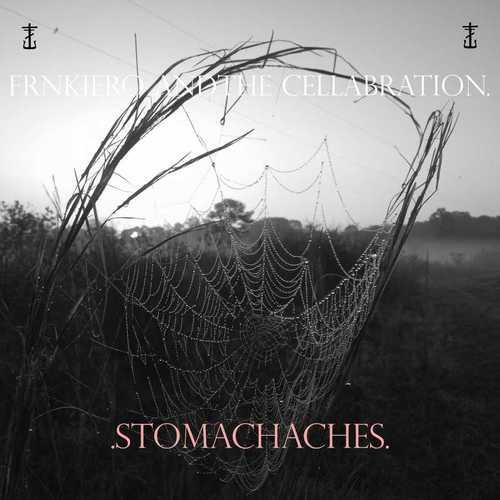 frnkiero andthe cellabration. - .Stomachaches.