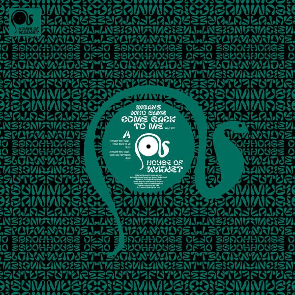 insane who sane - Come Back To Me